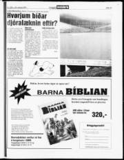 Síða 15