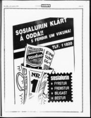 Síða 19