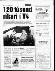 Síða 3