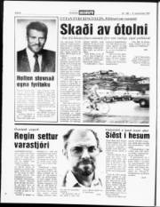 Síða 6