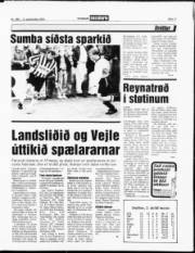 Síða 11