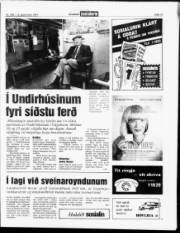 Síða 15