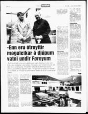Síða 16