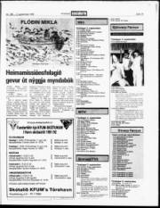 Síða 19