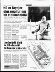 Síða 3