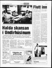 Síða 5