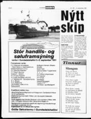 Síða 8