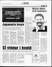 Síða 11