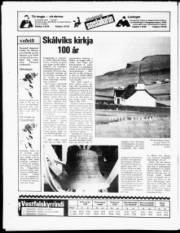 Síða 16