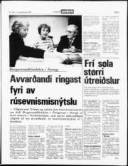 Síða 3