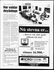 Síða 5