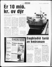 Síða 6