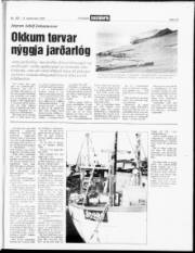 Síða 13