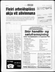 Síða 14