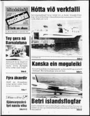 Síða 1