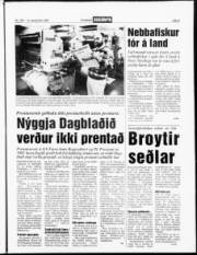 Síða 3