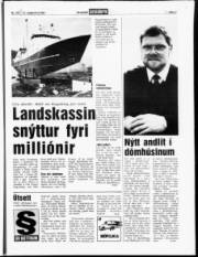 Síða 7