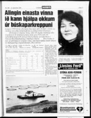 Síða 17