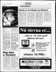 Síða 19