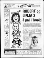 Síða 20