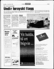 Síða 3