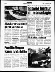 Síða 12