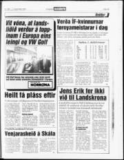Síða 15