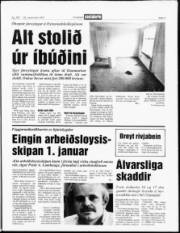 Síða 3