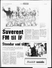 Síða 15