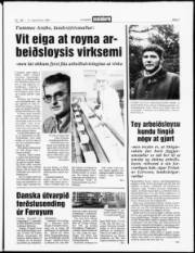 Síða 3
