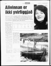 Síða 6