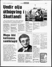 Síða 7