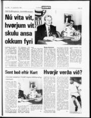 Síða 12