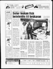Síða 15