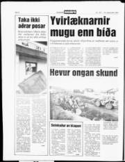Síða 4