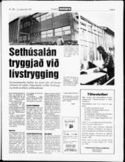 Síða 5
