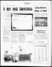 Síða 6