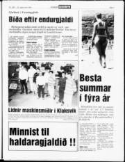 Síða 7