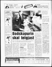 Síða 20