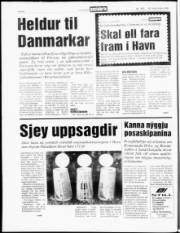Síða 6