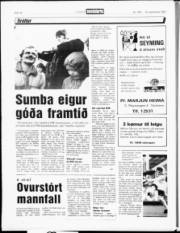 Síða 15