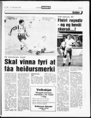 Síða 16