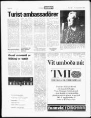 Síða 17