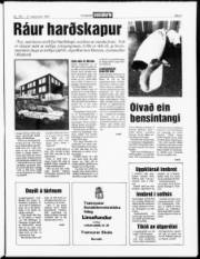 Síða 3