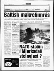 Síða 7