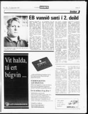 Síða 13