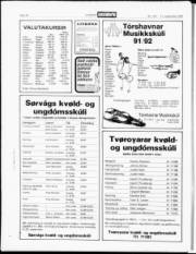Síða 14
