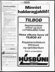 Síða 11