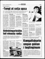 Síða 3