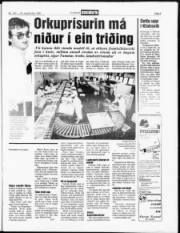 Síða 5